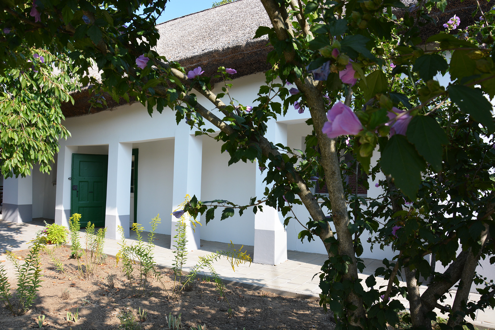 200 Years Old Countryside House